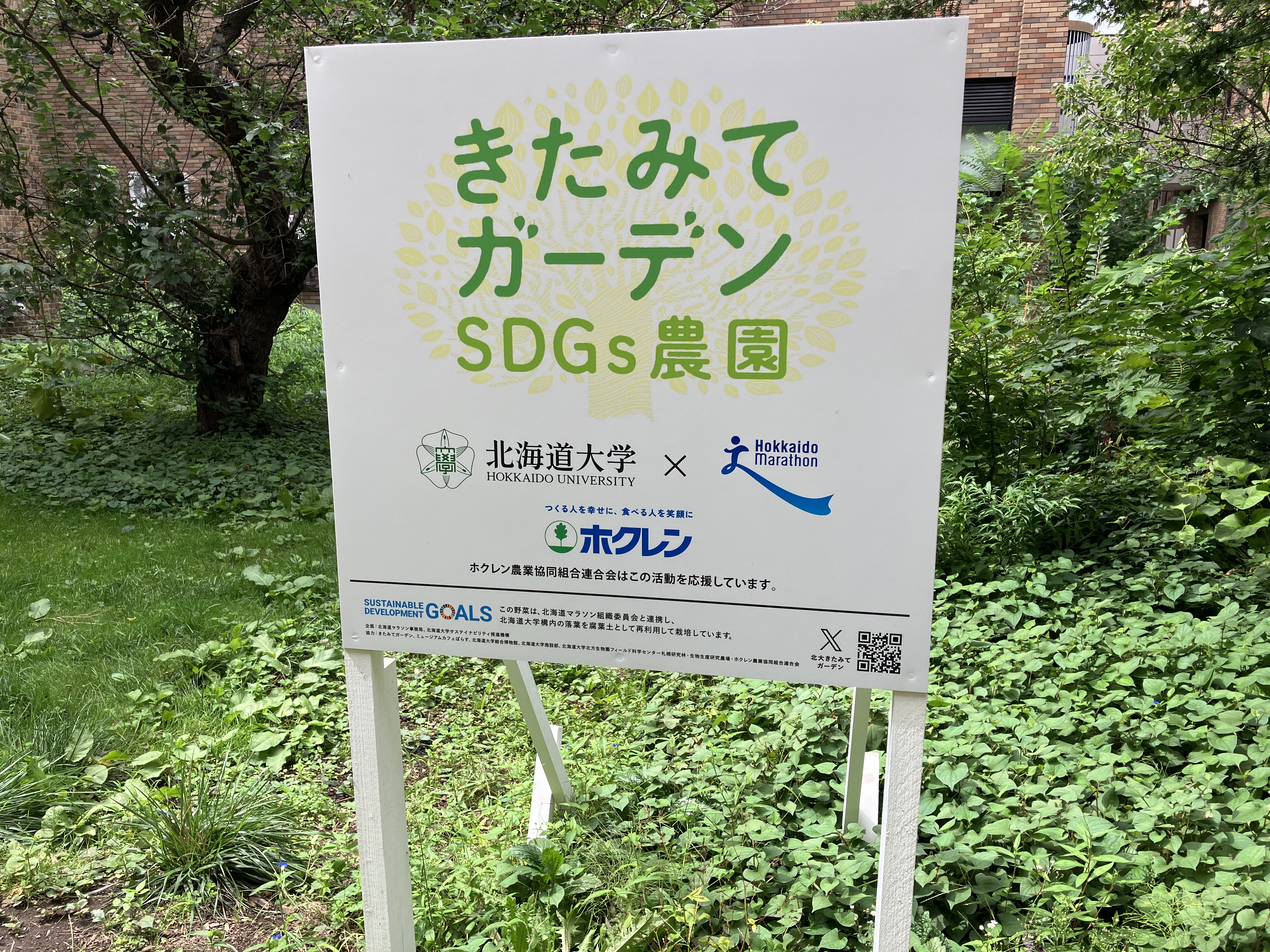 広報ほくれん」477号を発行－酪農畜産現場を支えるJAグループの